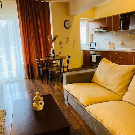 Eclipse Apartment Free Parking Cluj-Napoca Luaran gambar